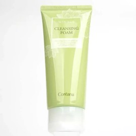 인기 깨끗한피부로 가꿔주는 클렌징 폼 150ml Popular Cleansing Foam for Clean Skin 150ml