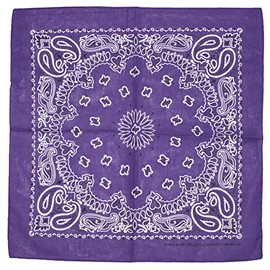 Topkids Accessories Paisley Bandanas for Women and Men, Hair Bandana, Neck Scarf Men, Neck Warmer Men, Head Band, Bandana Scarf, Face cover, Bandana Headband (Purple)