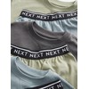 NEXT 3 Pack 100% Cotton Short Pyjamas, Sage Green