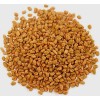 Organic Fenugreek Seed ~ Trigonella Foenum Graecum ~ 100% Premium