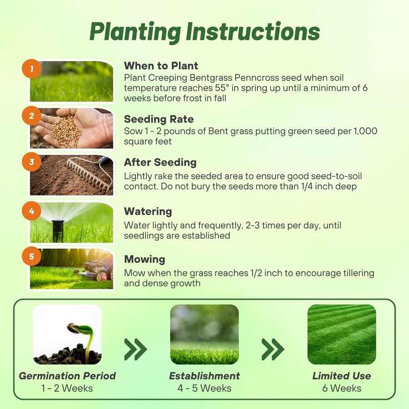 Outsidepride PC2.0 (Penncross) Creeping Bent Grass Seed – 1 lb.