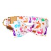 Unique style paws Easter Dog Collar, Holiday Bunny Eggs Dog