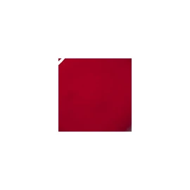 lilybyred Juicy Liar Water Tint 4.8g  - #04 LIKE BLACKBERRY TEQUILA