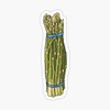Endless New Objects Asparagus Bundle Vegetable Veggie Garden Vinyl Decal Decor High Quality Sticker