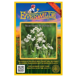 Everwilde Farms - 250 Northern Bedstraw Native Wildflower Seeds - Gold Vault Seed Packet