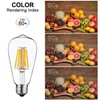 SHUWDKAR LED Light Bulbs DC 12V 6W E26 ST64 Low