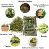 Sphagnum Moss for Reptiles -Terrarium Moss for Reptiles Peat Moss