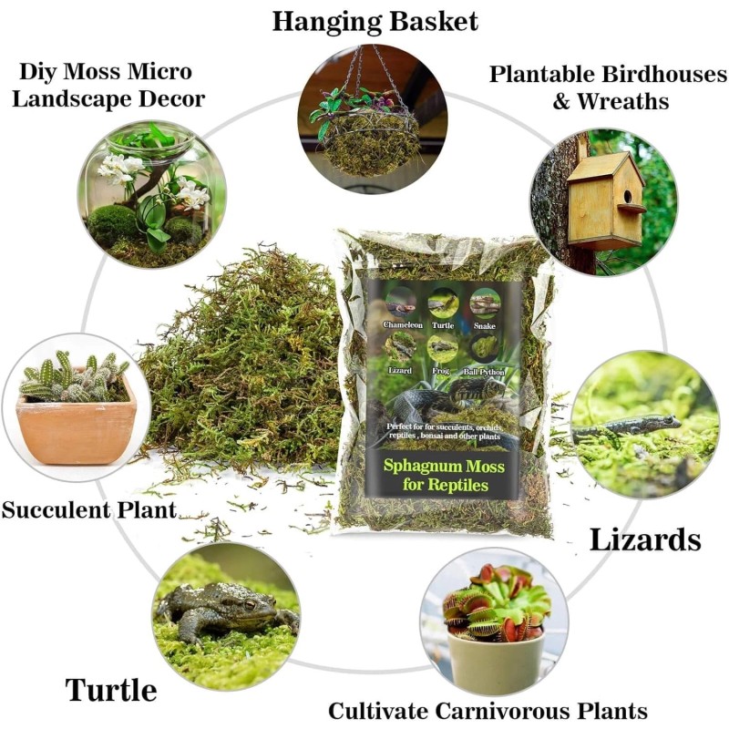 Sphagnum Moss for Reptiles -Terrarium Moss for Reptiles Peat Moss
