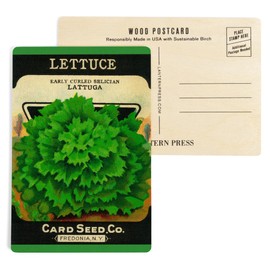 Lettuce (early curled) Seed Packet (4x6 Birch Wood Postcards, 2-Pack Stationary, Rustic Home Wall Decor)