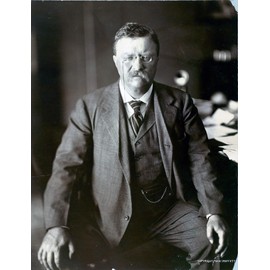 Theodore Roosevelt Photograph - Historical Artwork from 1910 - US President Portrait - (11" x 14") - Matte