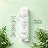Shampoo Detox Profesional Anticaspa Natural con Menta | Hombre y