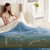 Cozorbt Heat Blanket 84”x90” Queen Size-Dual Control，Soft Flannel & Sherpa