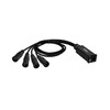 Adam Hall cables 4 Star Catbox XM3 Audio & DMX