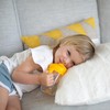 Dr. Brown's Milestones Baby's First Straw Cup, Training Cup with