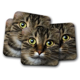 4 Set - Cute Tabby Cat Coaster - Kitten Cats Mum Sister Auntie Gran #14164