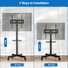 HOLMAXD Mobile TV Stand for 23-65 Inch LCD LED Flat/Curved