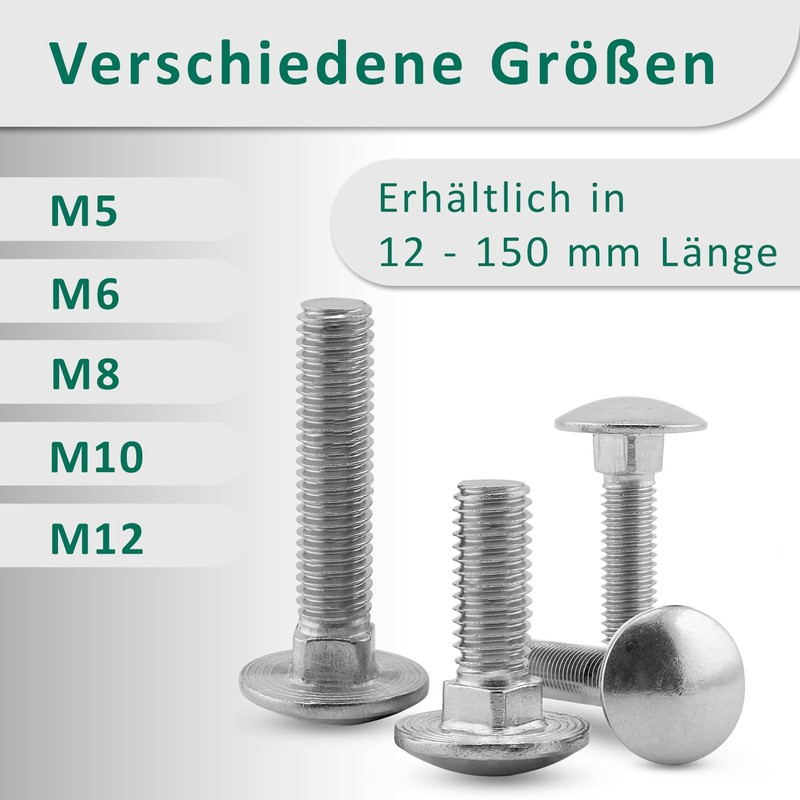 DSM – Carriage Bolts M5 x 50 mm Set DIN