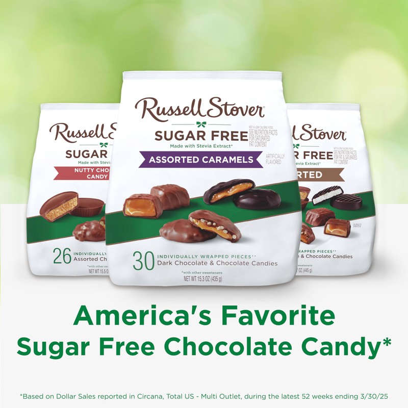 RUSSELL STOVER Sugar Free Assorted Caramels in Chocolate Candy, 15.3