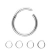 Treuheld® Segment Piercing Clicker Titanium 68 Variants, silver