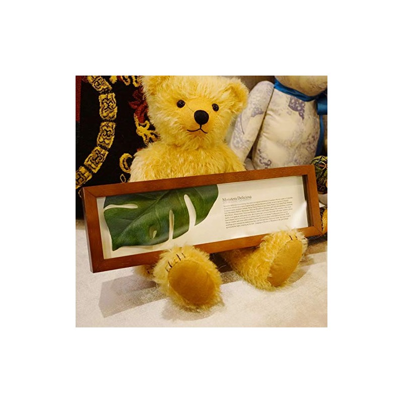 Leaf Panel Monstera II Plaque Horizontal (Brown) Leaf Frame Panel