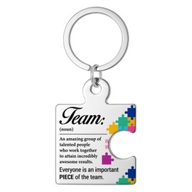 DRMNPKT Team Appreciation Gifts for Employee Coworkers Colleague, Thank You Team Gift for Staff Volunteer, Inspirational Office Teamwork Christmas Gift Puzzle Piece Metal Keychains