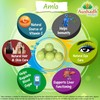 Amla Fruit (Gooseberry) Powder