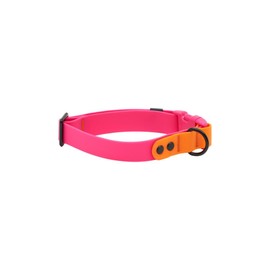 RC Pets Durable, Odor-Resistant, Easy-Clean Waterproof Collar | Azalea-Orange, Medium