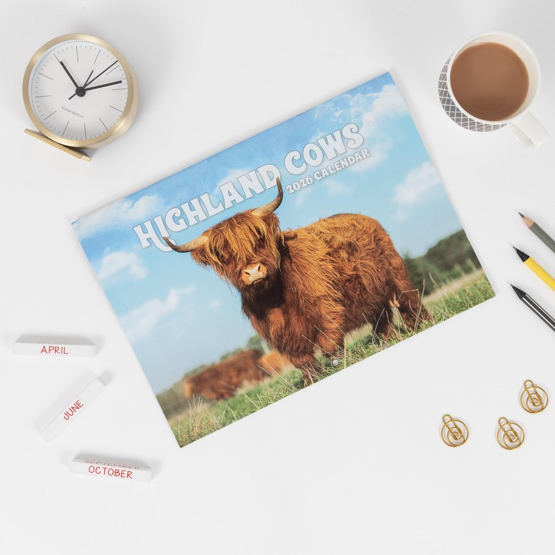 evelay 2026 A4 Highland Cow Calendar Month to View A3