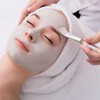24 Pieces Face Mask Brush Transparent Face Mask Brush Cosmetic