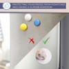 Destination Vinyl ltd Magnet for Refrigerator, Fridge - Cute Hamster