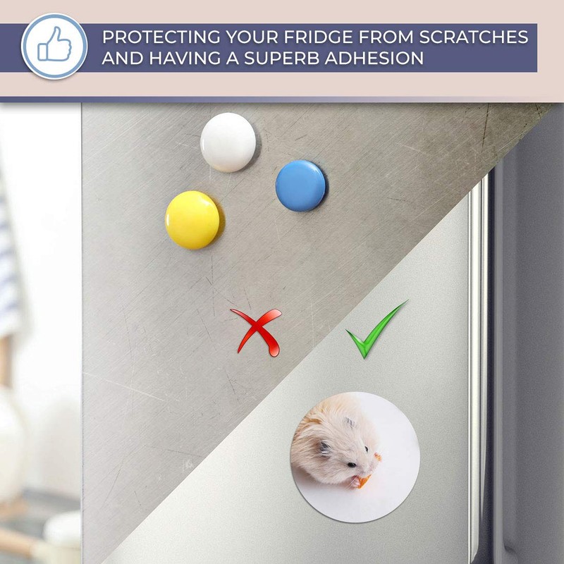 Destination Vinyl ltd Magnet for Refrigerator, Fridge - Cute Hamster