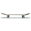 [CCS] Catalog Kid Skateboard Complete - Green - 8.00"