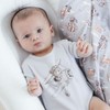 Aster & Oak Flying Oli Bear Print Onesie, 000 (0