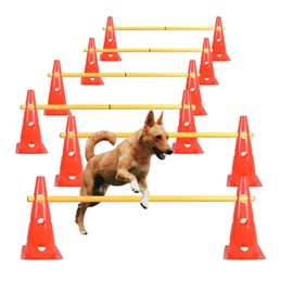 TNZMART Dog Agility Hurdle Cones Pet Jump Training Set Dog Agility Course Backyard Set Adjustable Obstacle Training Set (Orange, 6 Sets)