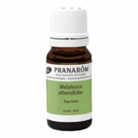 Soothing and purifying Pranarom tea tree oil 10ml / 진정정화 프라나롬 티트리 오일 10ml