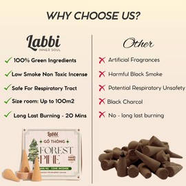 LABBI Incense Cones - 20 Natural, backflow Incense Fragrant Cones for Relaxation, Chakra Support and Meditation. Includes a Holder for Convenience. Perfect for Holidays or Daily use. (Rose Sage)