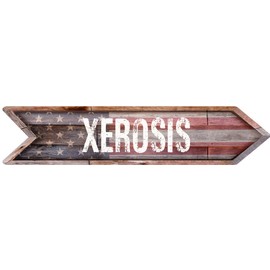 XEROSIS American Flag Wood Arrow Shaped Weathered Rustic Painted Wood Look Magnet for use on Any Steel Surface