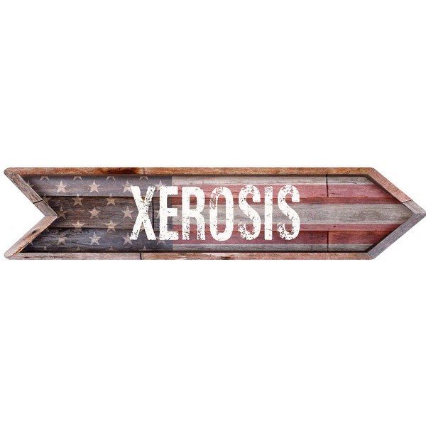 XEROSIS American Flag Wood Arrow Shaped Weathered Rustic Painted Wood
