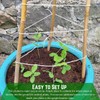 Farm Plastic Supply - Bamboo Garden Stakes - Bambo Sticks,