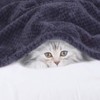 sourcing map Flannel Fleece Bed Blankets, Soft Warm Microfiber Blanket,