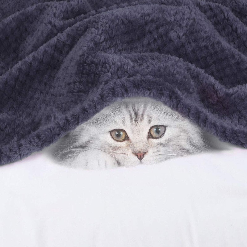 sourcing map Flannel Fleece Bed Blankets, Soft Warm Microfiber Blanket,