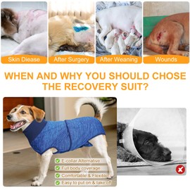 BEAUTYZOO Recovery Suit for Dogs, Dog Surgery Suit Female Spay, Dog Surgical Recovery Onesie Male Neuter, Anti Licking Wounds Puppy Post Surgery Bodysuit Outfit, Cone of Shame Alternative, Blue L