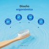 B Life Cepillos De Dientes De Bambú | Kit Con