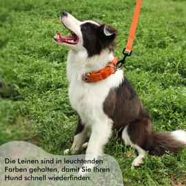 Tagfur Recall Lead for Dogs, Recall Lead 5 m/10 m/15 m/20 m with Handle and D-Ring, Waterproof and Easy to Clean Dog Lead Training Lead for Small, Medium, Large Dogs, (Orange, 5 m)