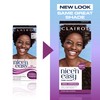 Clairol Nice'n Easy Tone+Gloss Semi Permanent Hair Dye - 300/84