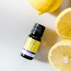 ECO. Modern Essentials Lemon Pure Essential Oil, 10ml