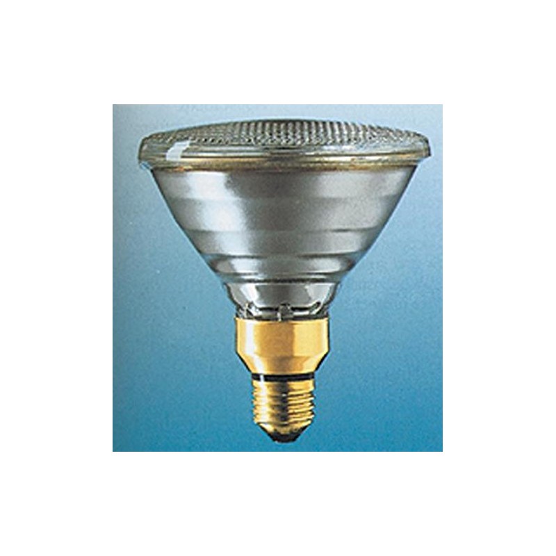 Osram Conc PAR38 FL120 Reflector Lamp