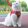 FEimaX Cat Harness and Leash Set for Escape Proof Walking,