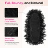 Mohawk Wig for Black Women Kinky Curly Clip in Mohawk