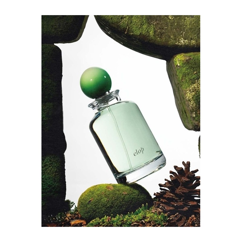 Rain Jungle Night Fabric Perfume / 레인정글나잇 패브릭 퍼퓸